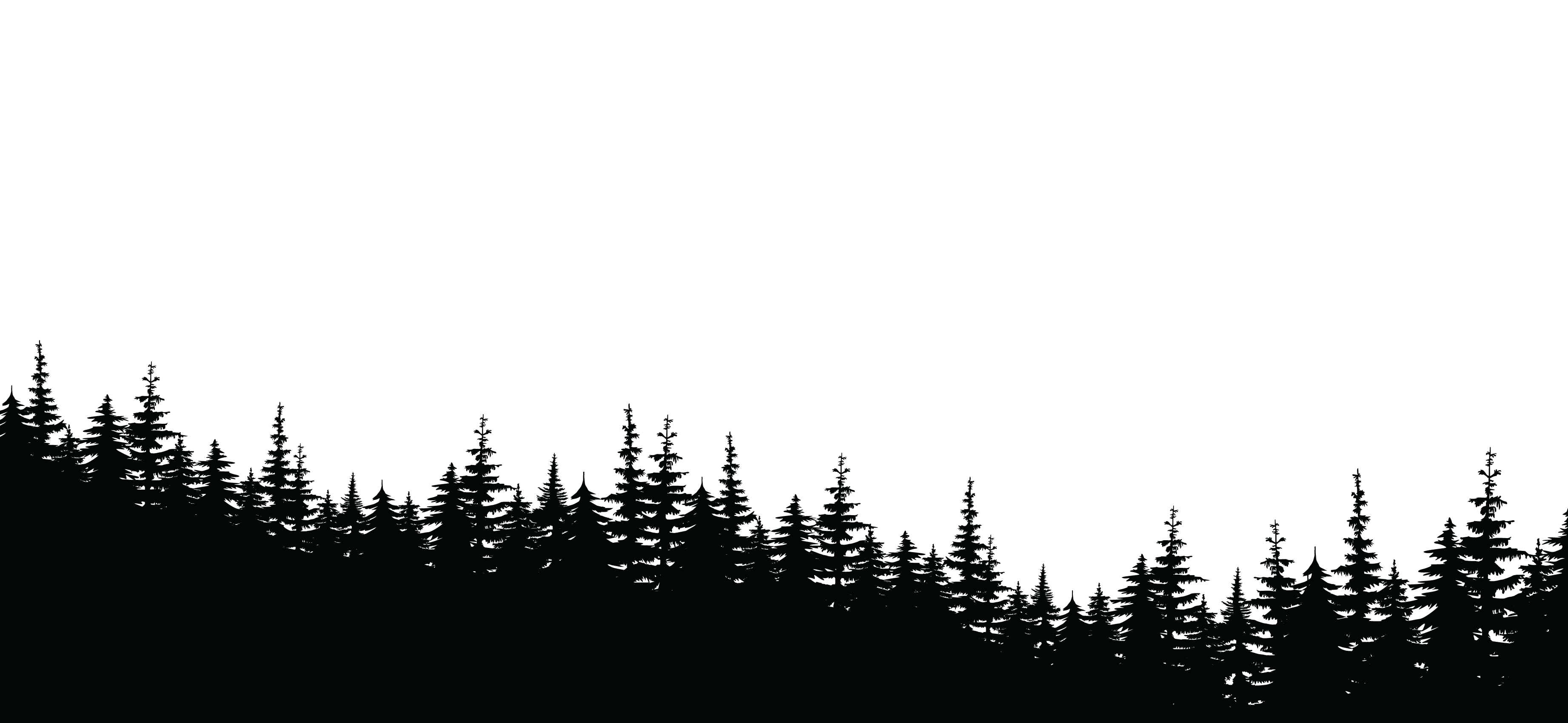 forest transition